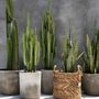 Boîtes de rangement - Le Panier Zigzag Banana - L - BAZAR BIZAR LIVING