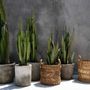 Boîtes de rangement - Le Panier Zigzag Banana - L - BAZAR BIZAR LIVING