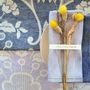 Table linen - DAMASCO Collection - TESSITURA PARDI SRL