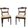 Chairs - Walnut carved chairs - MARILA ZANELLA
