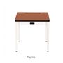 Children's tables and chairs - RÉGINE 3-6 YEAR OLD CHILDREN'S DESKS - LES GAMBETTES