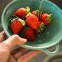 Bowls - Berry Bowl - MARUMITSU POTERIE