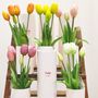 Décorations florales - Tulip! Nodito ever after - SBAM DESIGN