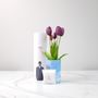 Décorations florales - Tulip! Nodito ever after - SBAM DESIGN