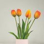 Décorations florales - Tulip! Nodito ever after - SBAM DESIGN