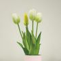 Décorations florales - Tulip! Nodito ever after - SBAM DESIGN