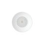 Kitchen utensils - Pantheon porcelain plate - PORCEL