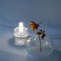 Table lamps - TELLO clear + PICCOLO clear - STUDIO BOJOLA