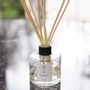 Home fragrances - GEODESIS Home Fragrances - GREGOIR LIFESTYLE