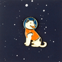 Broches - Pin's Belka le chien de l'espace - PINPINPIN.IT