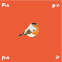 Broches - Pin's Bouvreuil - PINPINPIN.IT