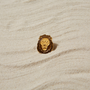 Broches - Épingle Lion - PINPINPIN.IT