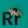 Brooches - Pin Racoon - PINPINPIN.IT