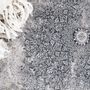 Tapis classiques - Soie de bambou - ROYAL CARPET