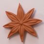 Decorative objects - JANIS (Star anise flower) - MONOCHROMIC CERAMIC