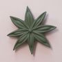 Decorative objects - JANIS (Star anise flower) - MONOCHROMIC CERAMIC