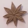 Decorative objects - JANIS (Star anise flower) - MONOCHROMIC CERAMIC