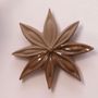 Decorative objects - JANIS (Star anise flower) - MONOCHROMIC CERAMIC