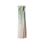 Vases - Bunch of asparagus vase - CHEHOMA