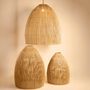 Hanging lights - Seagrass pendant lamp L - Lalou - KAYZA