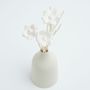 Floral decoration - Home fragrance diffuser vase, Aromatic diffuser in ceramic with sticks - ANOQ