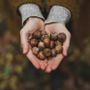 Decorative objects - The Art Of Slow Living - NEW MAGS