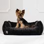 Pet accessories - AMORE DOG BED - PET EMPIRE