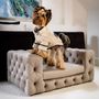 Accessoires animaux - Canapé Haut de Gamme Pour Chien, GLAMOUR - PET EMPIRE