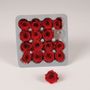 Floral decoration - Box of 16 dark red stabilized mini roses - LE COMPTOIR.COM