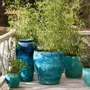 Flower pots - YIXING ceramic pot - CFOC
