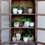 Pottery - Planters - CHIC ANTIQUE A/S