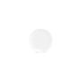 Everyday plates - Dinner plate 20.5cm Basic White cut - BONBISTRO