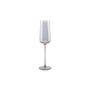 Stemware - Champagne glass 24cl smoked Ray - set/4 - S|P COLLECTION