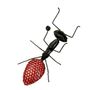 Other wall decoration - Recycled Metal Sculpture Mesh Ant For Wall 10/36cm - TERRE SAUVAGE