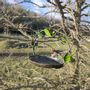 Decorative objects - Goldfinch Recycled Metal Bird Feeder 20cm - TERRE SAUVAGE