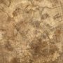 Tabourets - Bout de canapé monoxyle en manguier couleur naturelle assise demi-cercle - OFFICE OBJETS