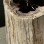 Autres tables - Grande table d'appoint en bois pétrifié écorce blanche cœur noir H:47 D:23-5 - OFFICE OBJETS