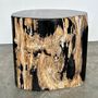 Other tables - Large petrified wood side table, organic shape, predominantly black H:40 D:34-42 - OFFICE OBJETS