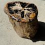 Other tables - Large side table in multi-colored rainbow petrified wood with bark D:32-40 H:40 - OFFICE OBJETS
