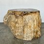 Other tables - Large side table in multi-colored rainbow petrified wood with bark D:32-40 H:40 - OFFICE OBJETS