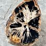 Other tables - Large side table in multi-colored rainbow petrified wood with bark D:32-40 H:40 - OFFICE OBJETS