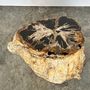 Other tables - Large side table in multi-colored rainbow petrified wood with bark D:32-40 H:40 - OFFICE OBJETS