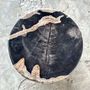Other tables - Small black petrified wood side table with white line H:28cm D:19cm - OFFICE OBJETS
