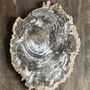 Platter and bowls - Organic dish in beige petrified times - OFFICE OBJETS