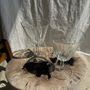 Other tables - Side table in petrified wood, predominantly white with black spots in the heart H:41 D:20 - OFFICE OBJETS