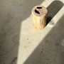 Other tables - Side table in white petrified wood 2 black spots H:28cm D:18.5cm - OFFICE OBJETS
