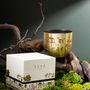 Gifts - Heirloom Candle - Dil Se (Rustic Roots - Gold) - Classic - SEVA HOME