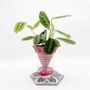 Vases - NOMADE XL- 3D self watering clay pot - COMMON PLACE