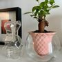 Vases - PIANO B -design- 3D self watering clay pot with glass for plants - COMMON PLACE