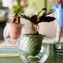 Vases - PIANO B -design- 3D self watering clay pot with glass for plants - COMMON PLACE